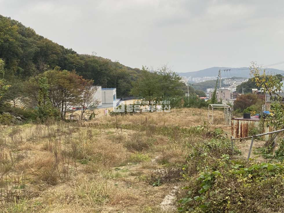 경기 광주시 신현동 | 다목적투자가능 | 도심접근성우수| 계획관리 | 매매 매물번호 10853 사진 1