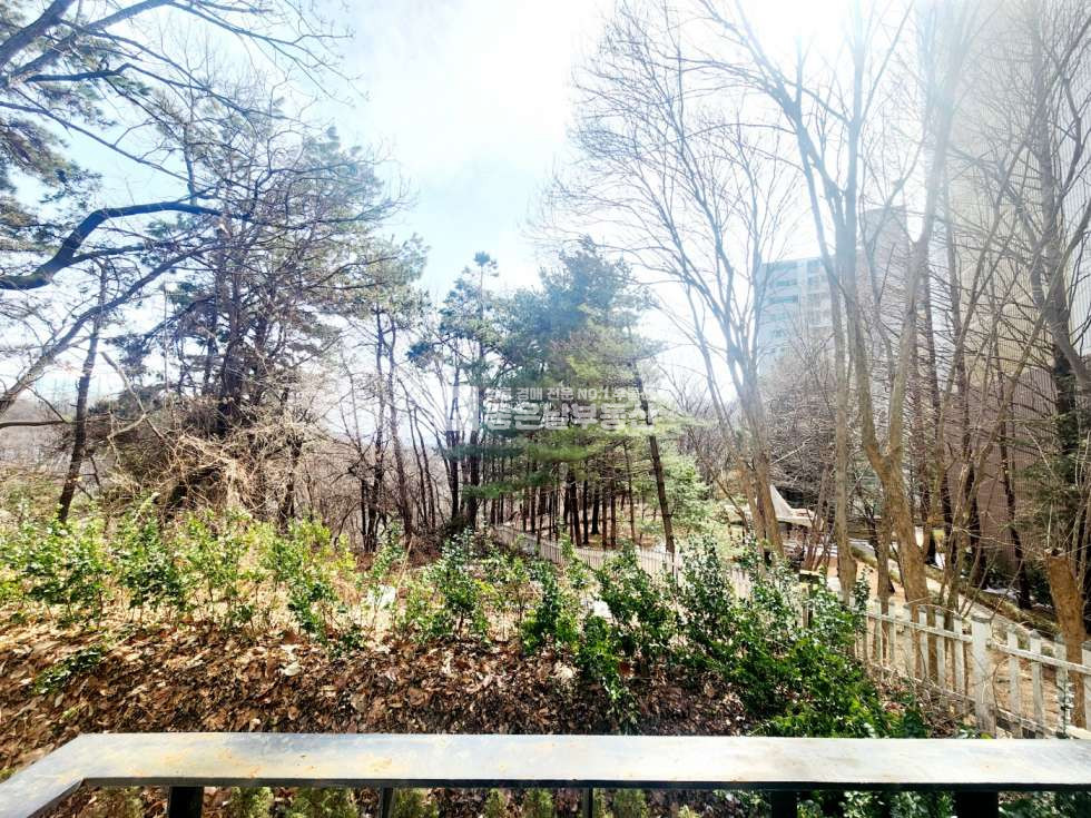 경기 광주시 신현동 202동 | 급매 | 즉시입주 | 숲세권 | 엘베유 | 주차여유 | 인근광역정류장 | 매매 매물번호 11048 사진 12