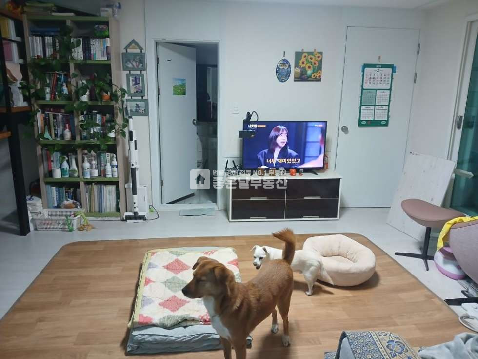 경기 광주시 신현동 B동 숲세권 빌라매매ㅣ 복층구조 ㅣ주변 상권인프라ㅣ 매매 매물번호 11445 사진 7